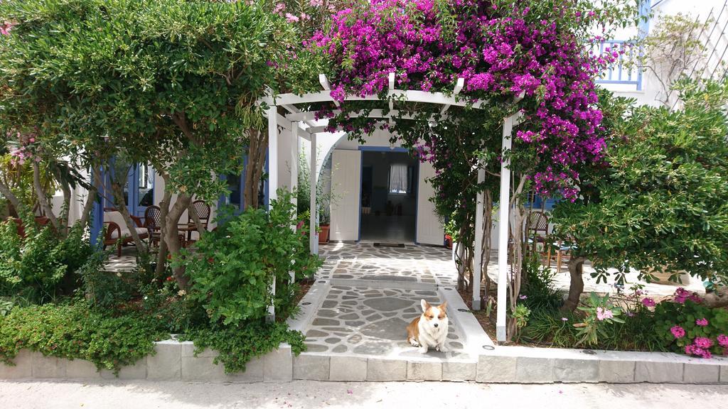Panorama Paros Hotel ภายนอก รูปภาพ